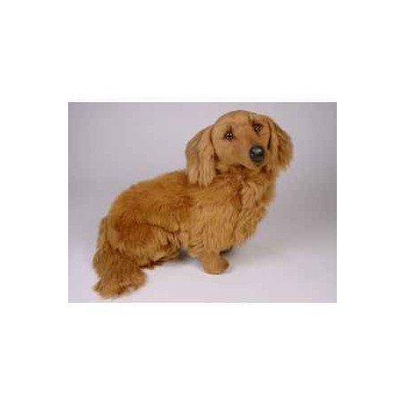 Animaux-Bois-Animaux-Bronzes propose Chien Teckel dachshund, poils longs 60 cm assis peluche réaliste Piutre 2252