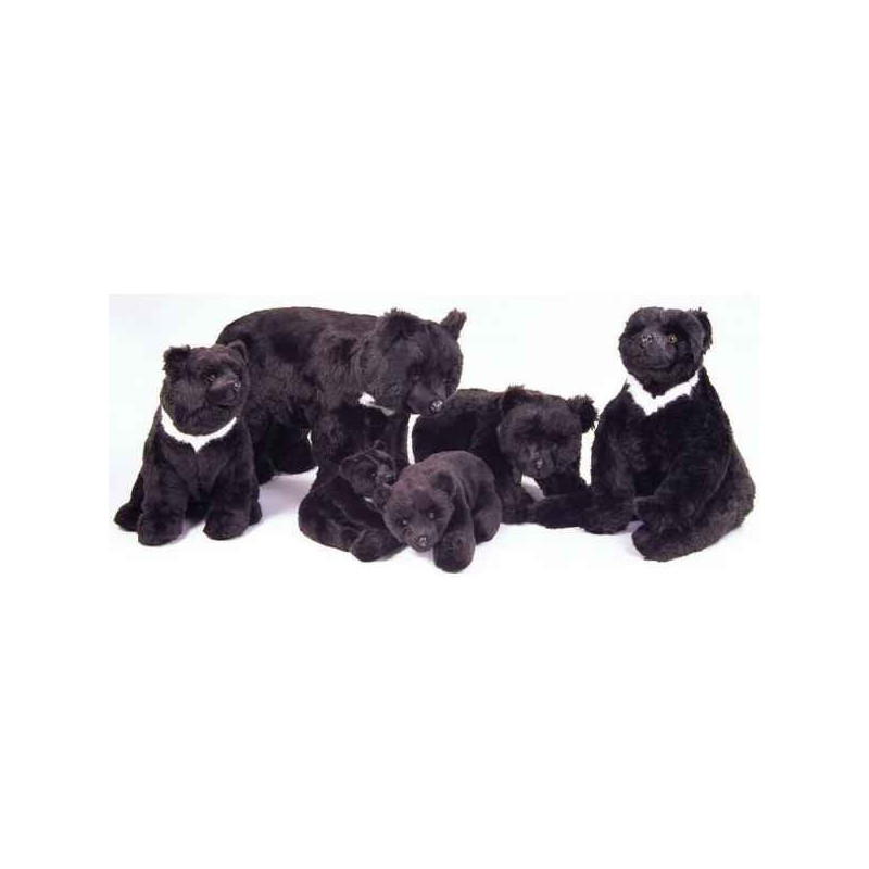 Décoration animaux Ours noir d'Asie 50 cm assis peluche réaliste Piutre 2188