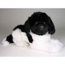 Animaux-Bois-Animaux-Bronzes propose Chien Terre Neuve noir/blanc 40 cm peluche animaux allongés réaliste Piutre 2239