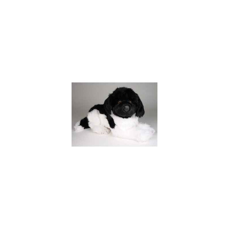 Animaux-Bois-Animaux-Bronzes propose Chien Terre Neuve noir/blanc 40 cm peluche animaux allongés réaliste Piutre 2239