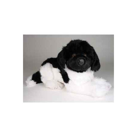 Animaux-Bois-Animaux-Bronzes propose Chien Terre Neuve noir/blanc 40 cm peluche animaux allongés réaliste Piutre 2239