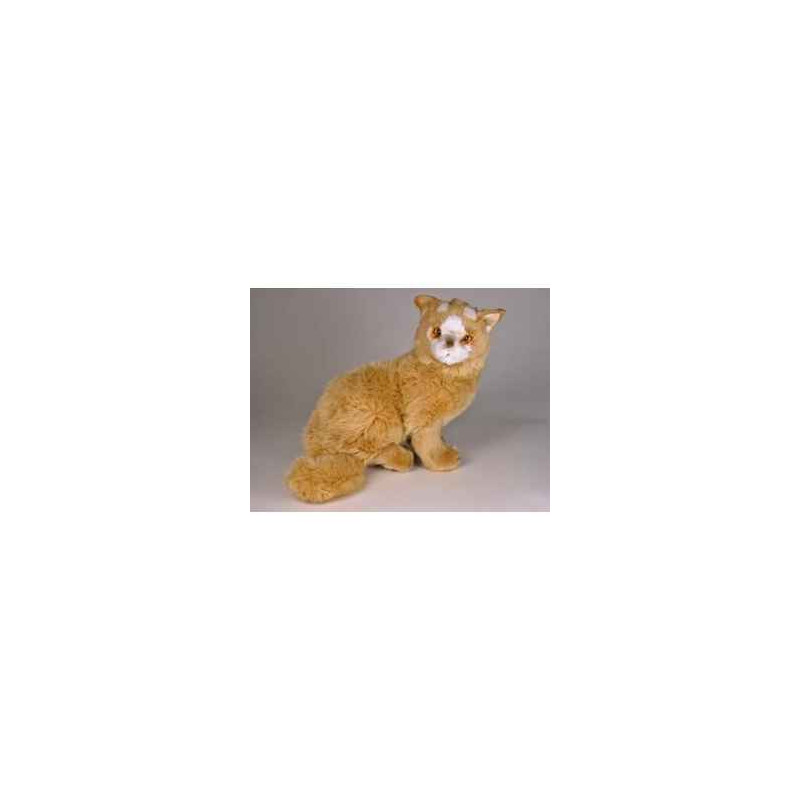 Peluche assise chat Turc de Van marron 35 cm Piutre   328