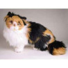 Peluche chat Calico cm Piutre   2331