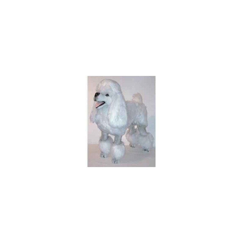 Peluche debout poodle blanc 80 cm Piutre   256