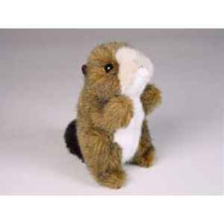  Animaux de la forêt Miniature loutre 15 cm peluche réaliste Piutre 4259