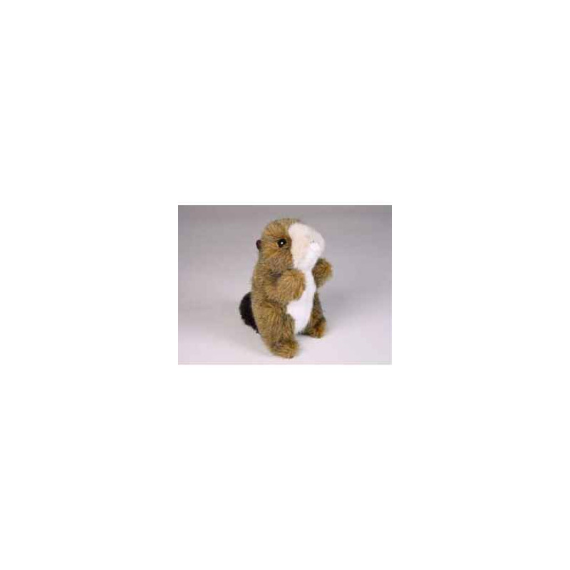  Animaux de la forêt Miniature loutre 15 cm peluche réaliste Piutre 4259