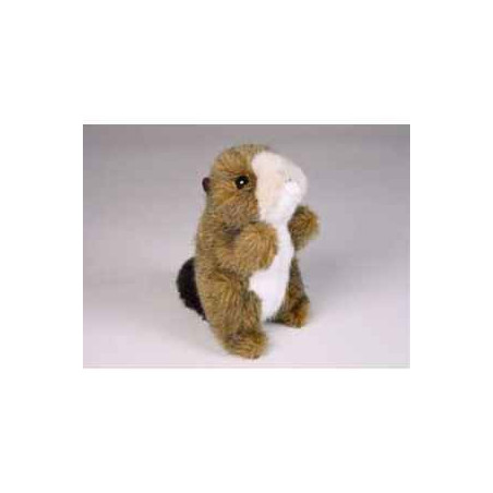 Peluche Miniature loutre 15 cm Piutre   4259