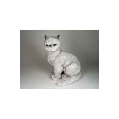 Peluche assise chat british poils Coeurts 45 cm Piutre   2460