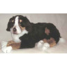 Animaux-Bois-Animaux-Bronzes propose Chien de montagne bernois 100 cm peluche animaux allongés réaliste Piutre 1262
