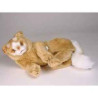 Peluche allongée chat Turc de Van marron 35 cm Piutre   329