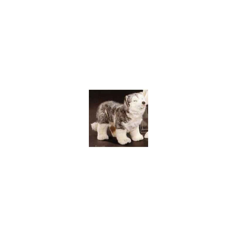 Animaux-Bois-Animaux-Bronzes propose Chien Husky de Sibérie 40 cm peluche animaux debout réaliste Piutre 2214