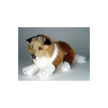 Animaux-Bois-Animaux-Bronzes propose Chien Collie 45 cm peluche animaux allongés réaliste Piutre 1276
