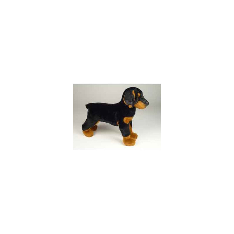 Animaux-Bois-Animaux-Bronzes propose Chien Doberman 35 cm peluche animaux debout réaliste Piutre 267