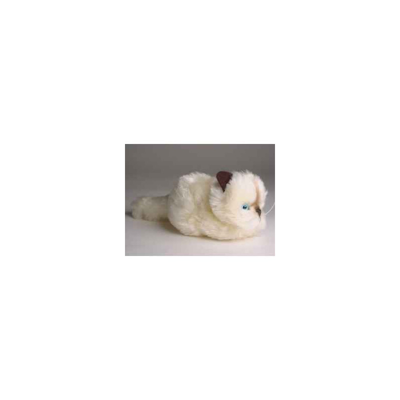Animaux-Bois-Animaux-Bronzes propose Chaton beige 12 cm peluche animaux allongés réaliste Piutre