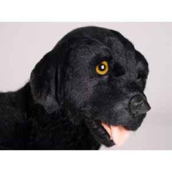 Animaux-Bois-Animaux-Bronzes propose Chien Labrador retrevier noir 45 cm peluche animaux debout réaliste Piutre 3338