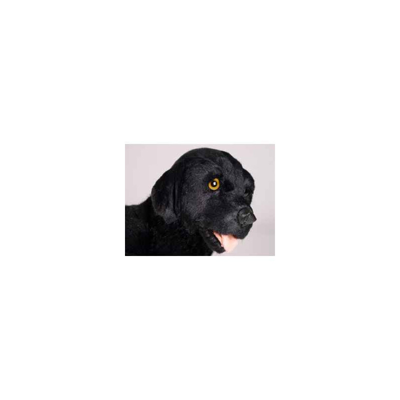 Animaux-Bois-Animaux-Bronzes propose Chien Labrador retrevier noir 45 cm peluche animaux debout réaliste Piutre 3338