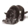 Animaux-Bois-Animaux-Bronzes propose Chat bleu de Russie avec Chaton qui joue 60 cm peluche animaux debout réaliste Piutre