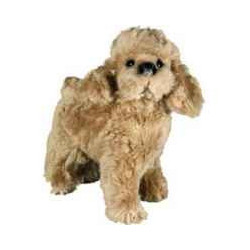 Animaux-Bois-Animaux-Bronzes propose Chien caniche abricot 35 cm peluche animaux debout réaliste Piutre 286