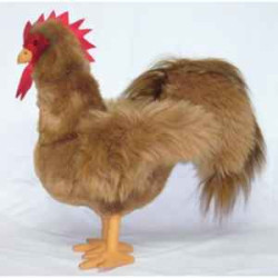  Animaux de la ferme Coq 40 cm peluche réaliste Piutre 726