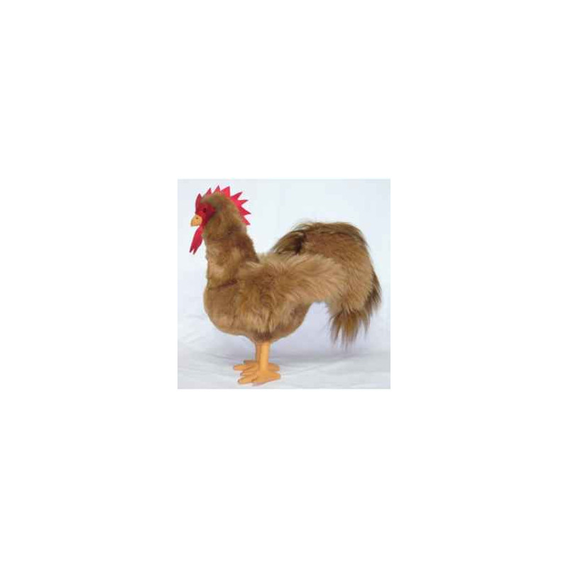  Animaux de la ferme Coq 40 cm peluche réaliste Piutre 726
