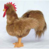  Animaux de la ferme Coq 40 cm peluche réaliste Piutre 726