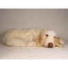 Animaux-Bois-Animaux-Bronzes propose Chien Spinone italien 85 cm peluche animaux allongés réaliste Piutre 2262