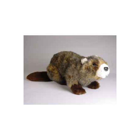 Peluche allongée castor 45 cm Piutre   2659