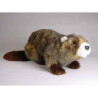 Peluche allongée castor 45 cm Piutre   2659