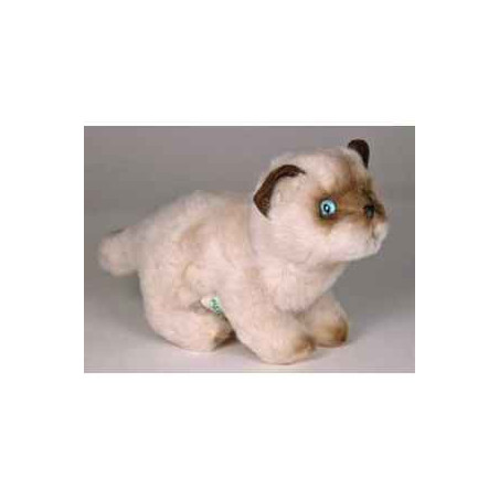 Animaux-Bois-Animaux-Bronzes propose Chaton siamois 20 cm peluche animaux debout réaliste Piutre