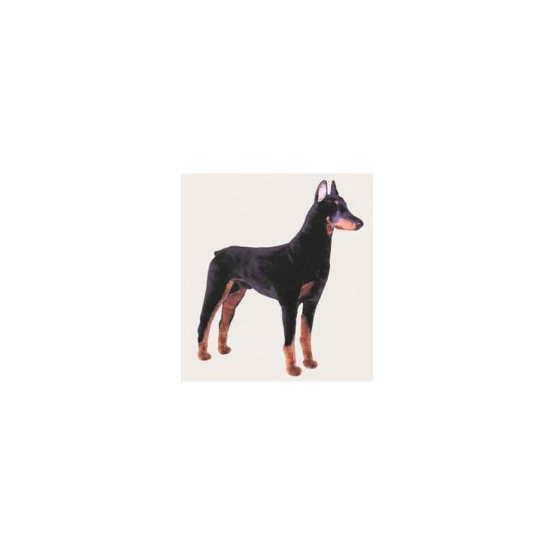 Animaux-Bois-Animaux-Bronzes propose Chien Doberman 100 cm peluche animaux debout réaliste Piutre 265