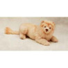 Félin Piutre Lion blanc 50 cm peluche animaux allongés -2524