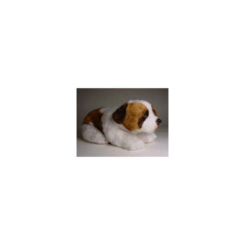 Peluche allongée saint bernard 35 cm Piutre   2297