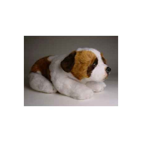 Peluche allongée saint bernard 35 cm Piutre   2297