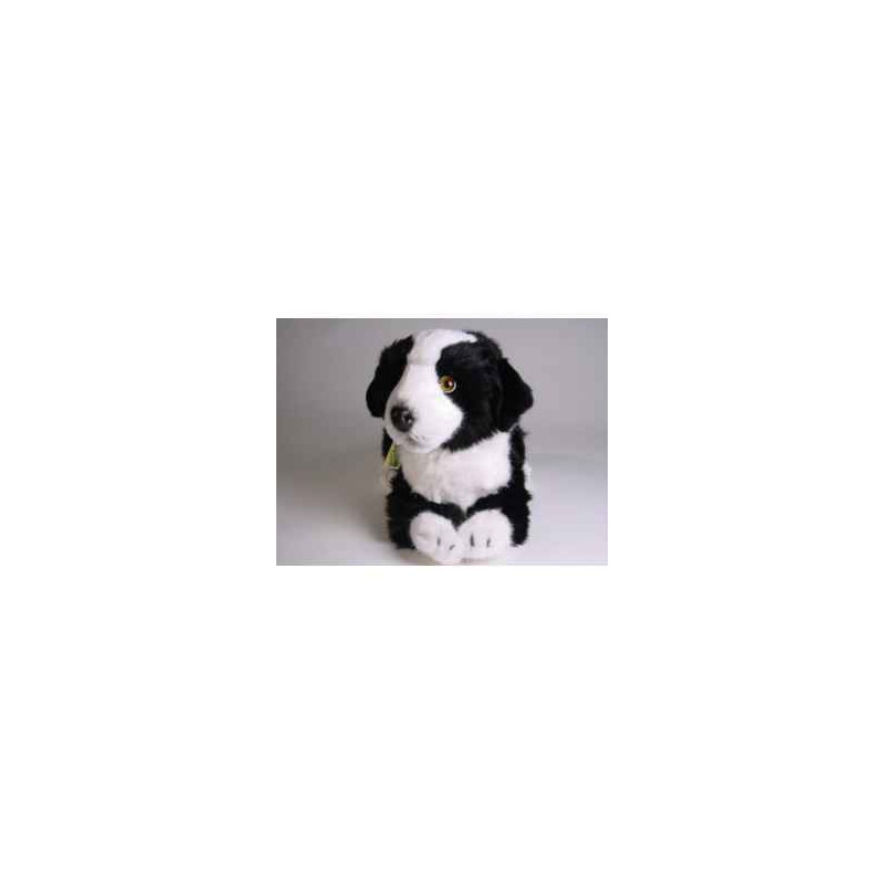 Peluche allongée border collie 45 cm Piutre   1218