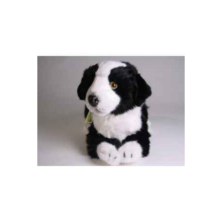 Peluche allongée border collie 45 cm Piutre   1218