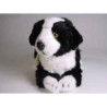 Peluche allongée border collie 45 cm Piutre   1218