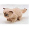 Animaux-Bois-Animaux-Bronzes propose Chat persan Coulorpoint 20 cm peluche animaux debout réaliste Piutre