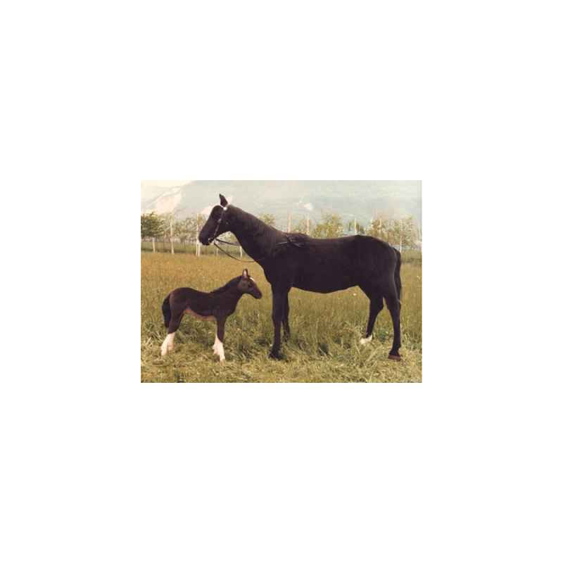 Peluche debout cheval noir 200 cm Piutre 2650 Peluche debout cheval noir 200 cm Piutre 2650