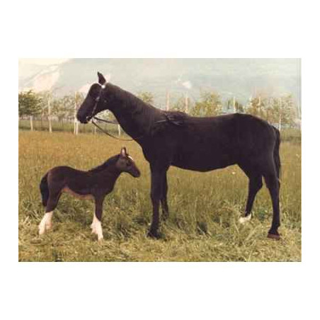 Peluche debout cheval noir 200 cm Piutre   2650