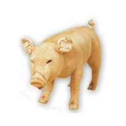  Animaux de la ferme Cochon 130 cm peluche animaux debout réaliste Piutre 2416