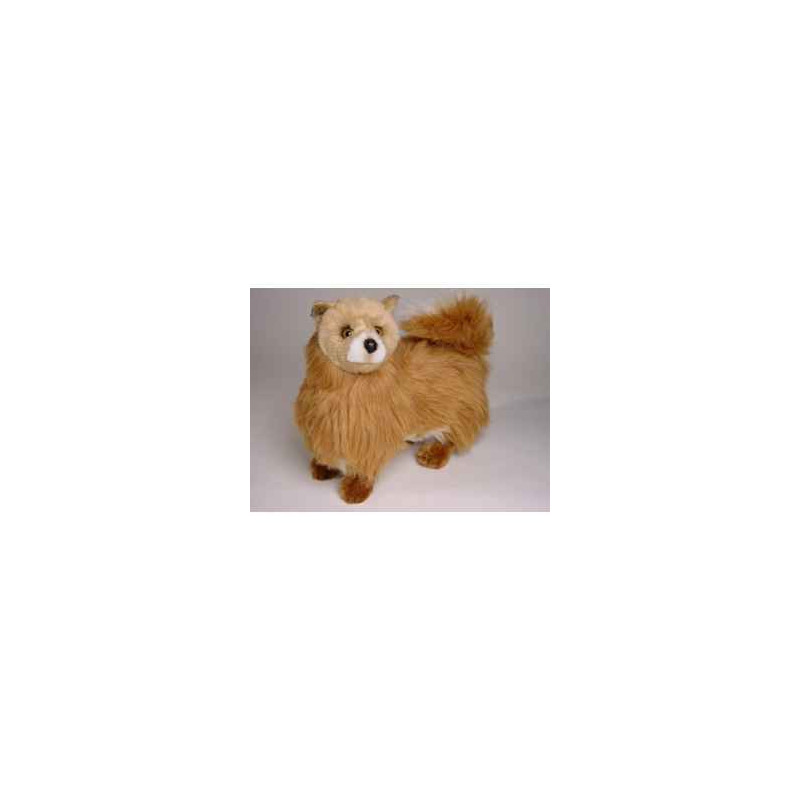 Animaux-Bois-Animaux-Bronzes propose Chien Poméranie cm peluche animaux debout réaliste Piutre 278