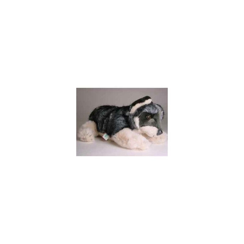  Animaux de la forêt Loup caucasien 35 cm peluche animaux allongés réaliste Piutre 1244