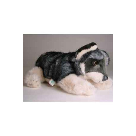 Peluche allongée loup caucasien 35 cm Piutre   1244