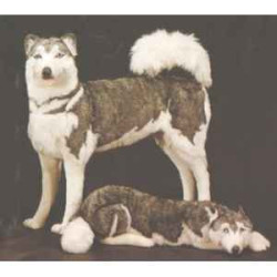 Animaux-Bois-Animaux-Bronzes propose Chien Husky de Sibérie 80 cm peluche animaux debout réaliste Piutre 2211