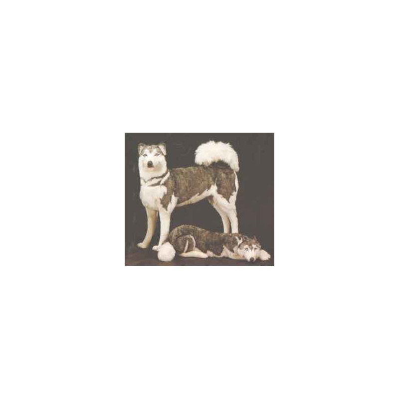 Animaux-Bois-Animaux-Bronzes propose Chien Husky de Sibérie 80 cm peluche animaux debout réaliste Piutre 2211