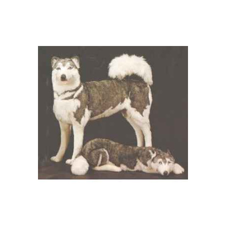 Animaux-Bois-Animaux-Bronzes propose Chien Husky de Sibérie 80 cm peluche animaux debout réaliste Piutre 2211