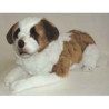 Animaux-Bois-Animaux-Bronzes propose Chien Saint Bernard 70 cm peluche animaux allongés réaliste Piutre 3227