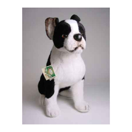 Animaux-Bois-Animaux-Bronzes propose Chien Boston terrier 55 cm assis peluche réaliste Piutre 4220