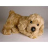Animaux-Bois-Animaux-Bronzes propose Chien caniche abricot 35 cm peluche animaux allongés réaliste Piutre 288