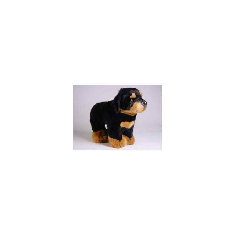 Animaux-Bois-Animaux-Bronzes propose Chien Rottweiller 35 cm peluche animaux debout réaliste Piutre 3308